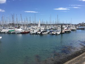 The forest of masts in the marina at Trinité-sur-mer