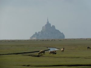 Lovely views over the marshes to the Mont St-Michel