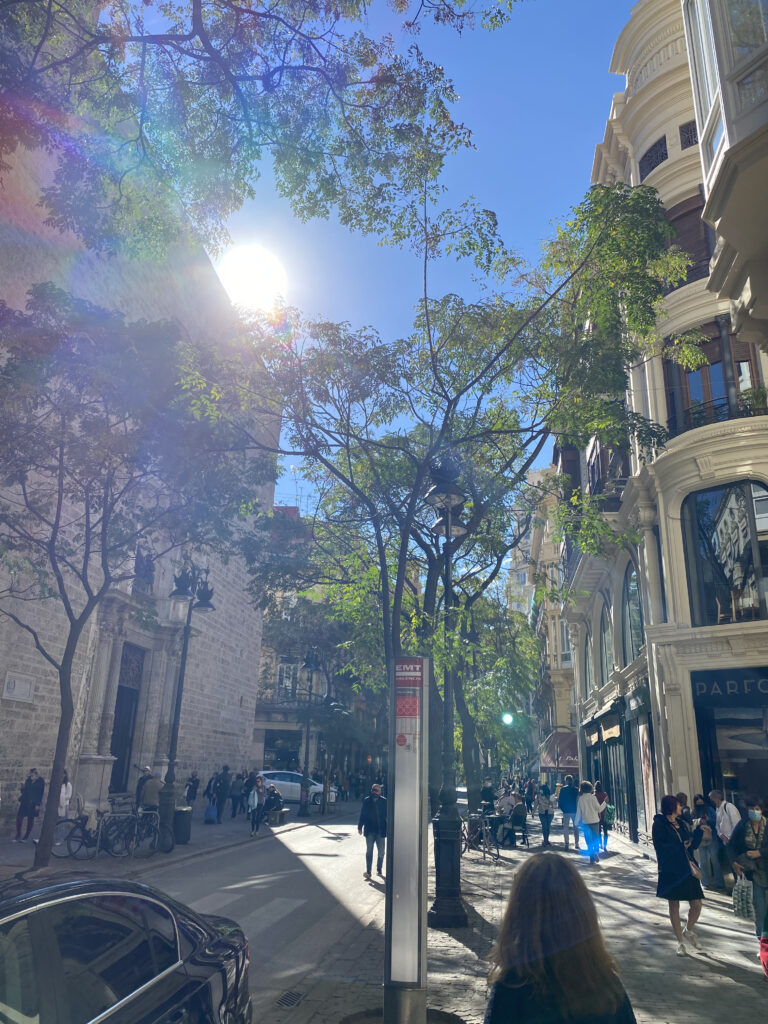 Valencia street scene